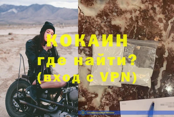 шишки Аркадак
