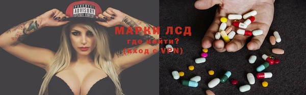 индика Армянск