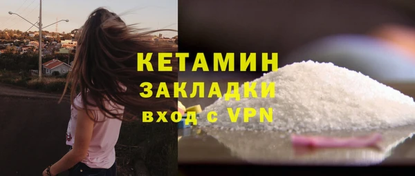 шишки Аркадак