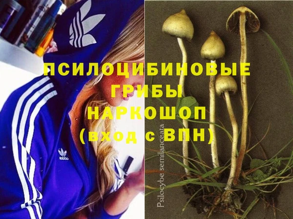 индика Армянск