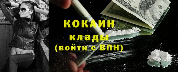 индика Армянск