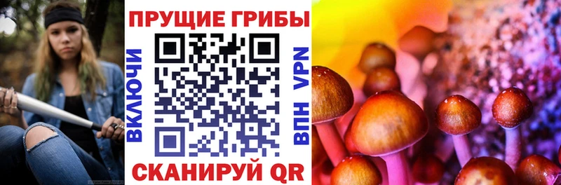 Псилоцибиновые грибы MAGIC MUSHROOMS  Купить где  Нахабино 