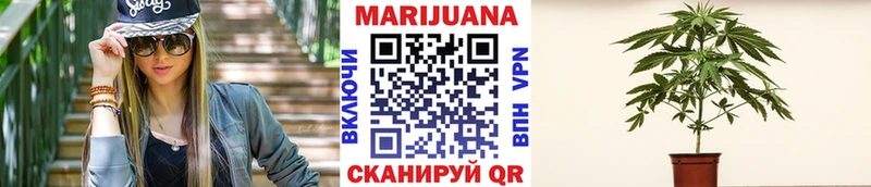 Конопля White Widow  Купить  Нахабино 